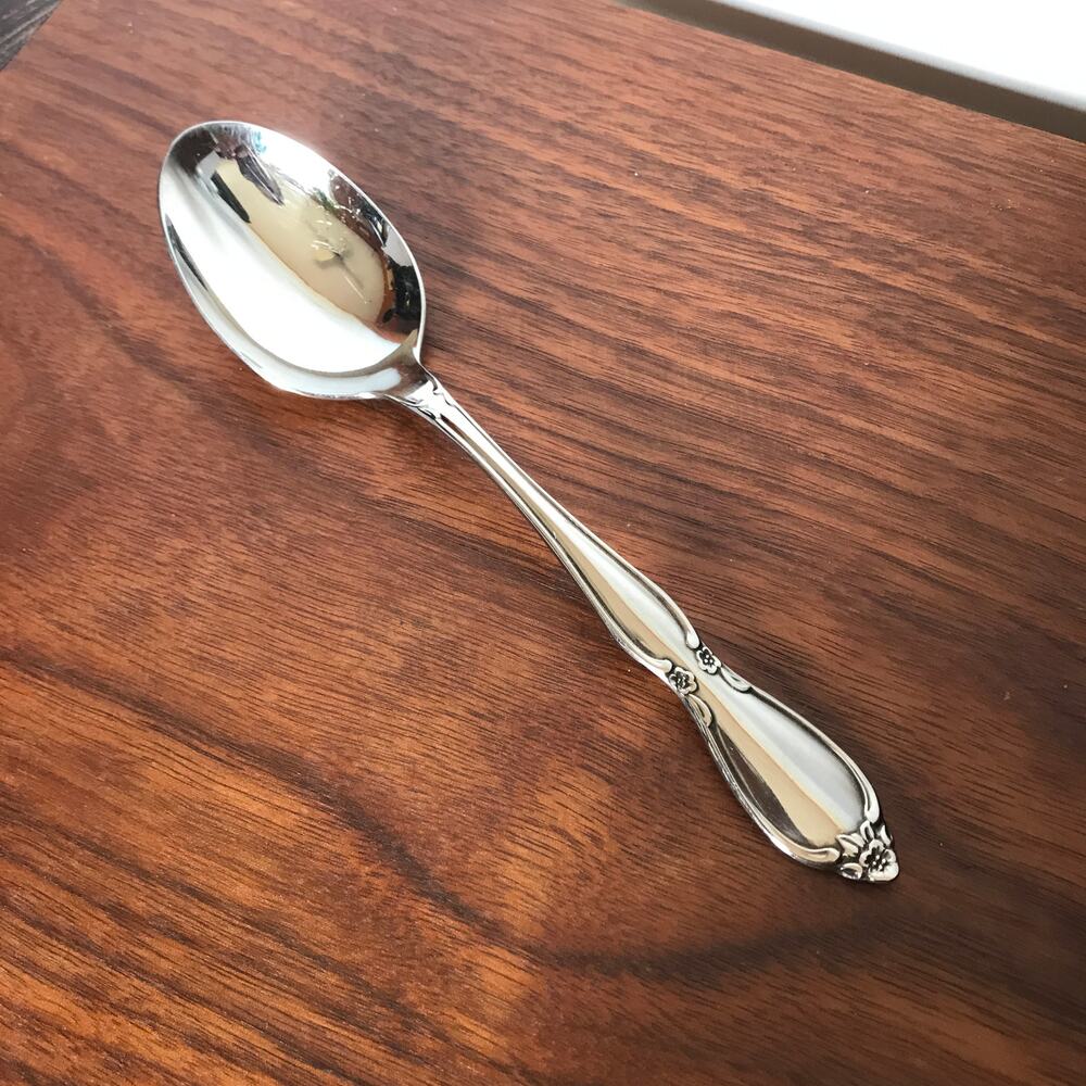 Oneida Community CHATELAINE Stainless Betty Crocker Glossy Flatware SPOON
